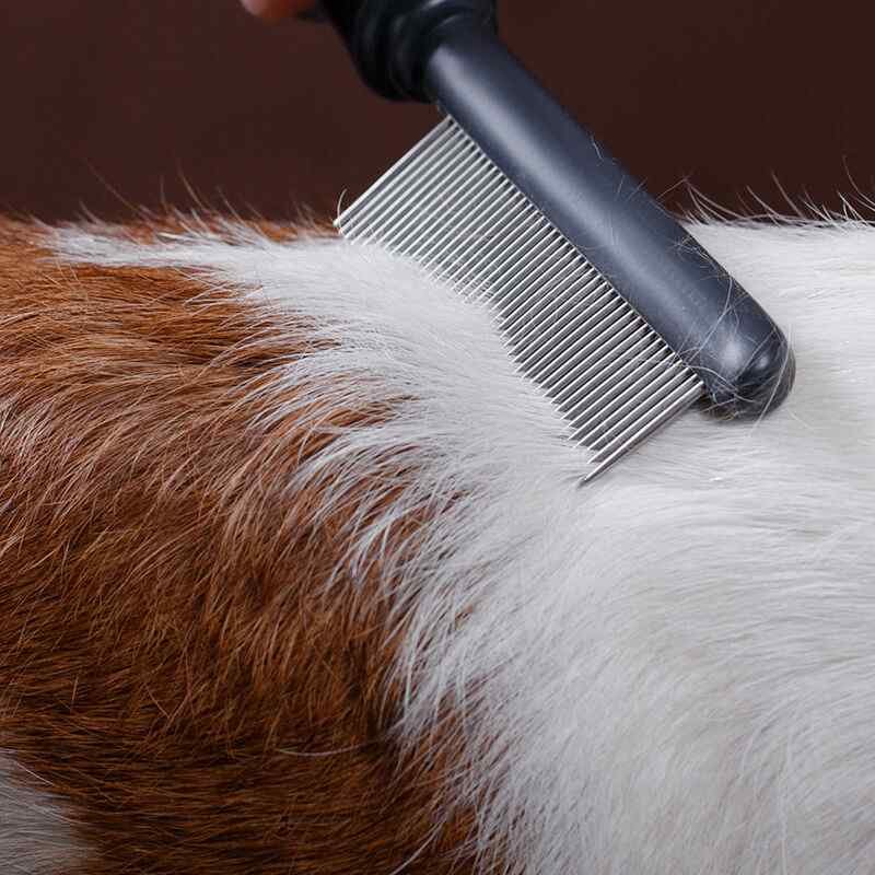 Grooming services for cats with long fur