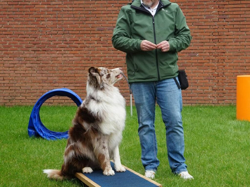 Dog trainer