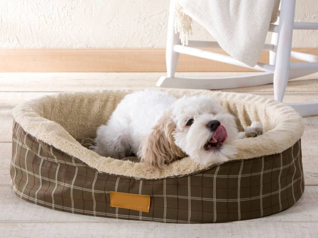 Dog bedding