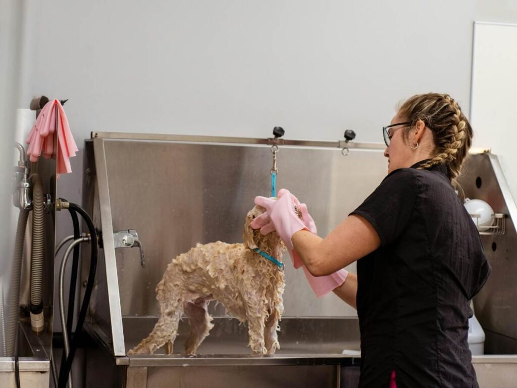 Dog grooming