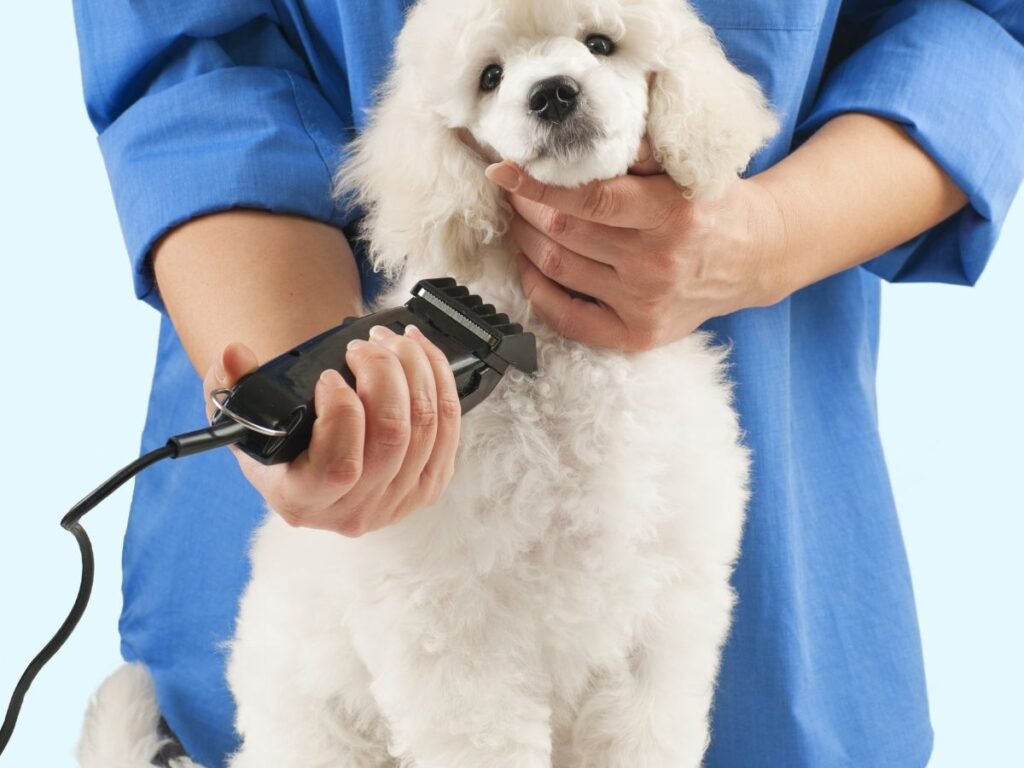 hair trimming