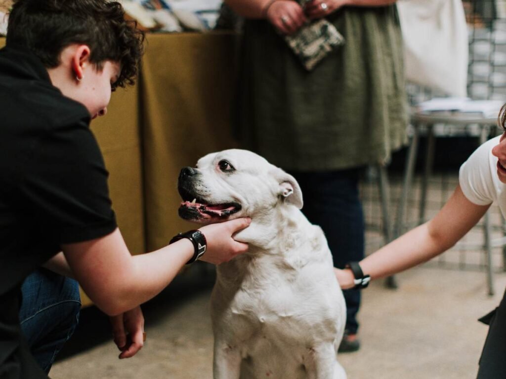 Train a Dog to Stay Calm Around Strangers